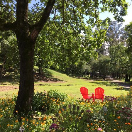 Amitabha Wine Country Cottage ซานตา โรซา ภายนอก รูปภาพ